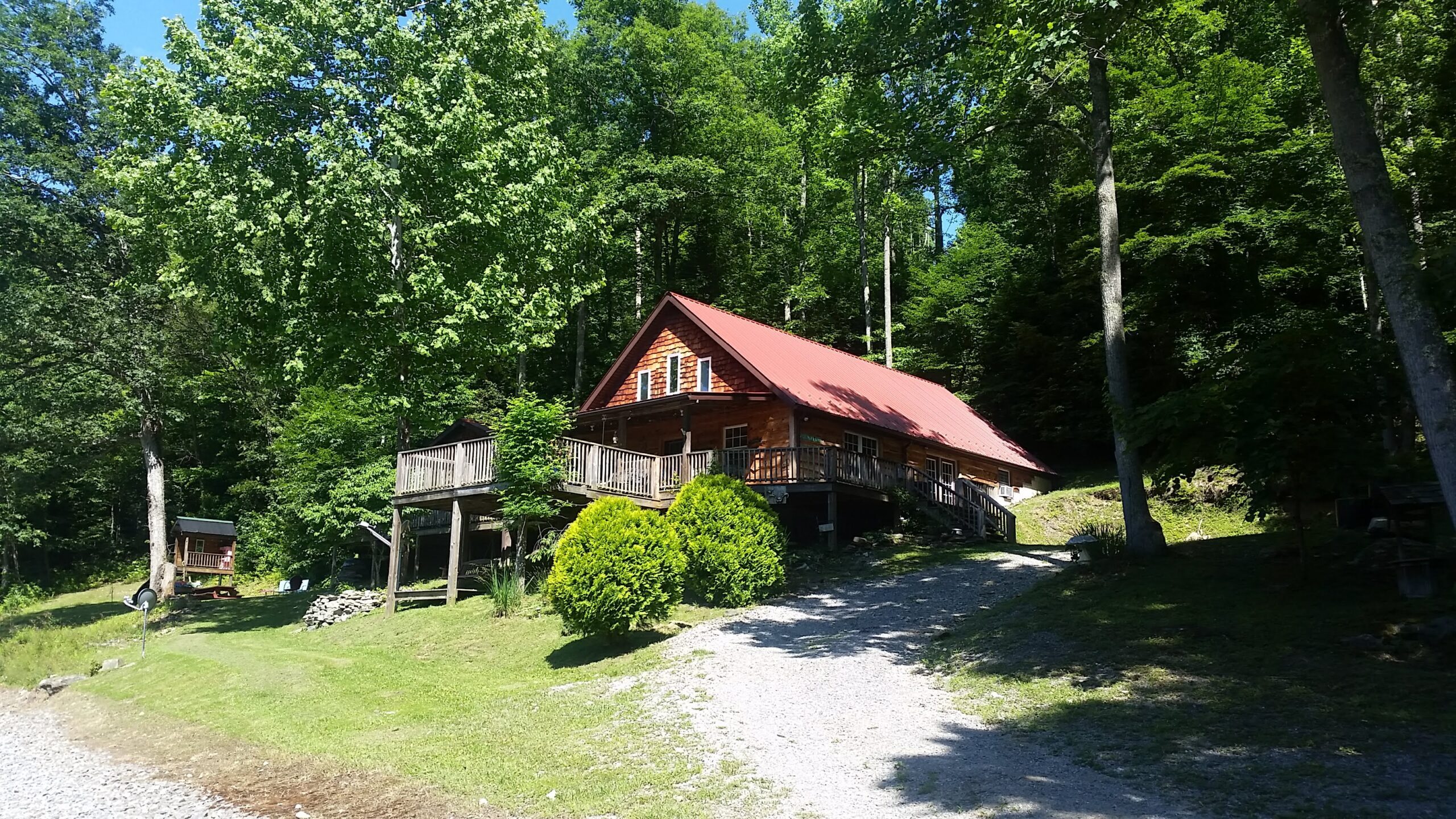 Paradise in the Woods